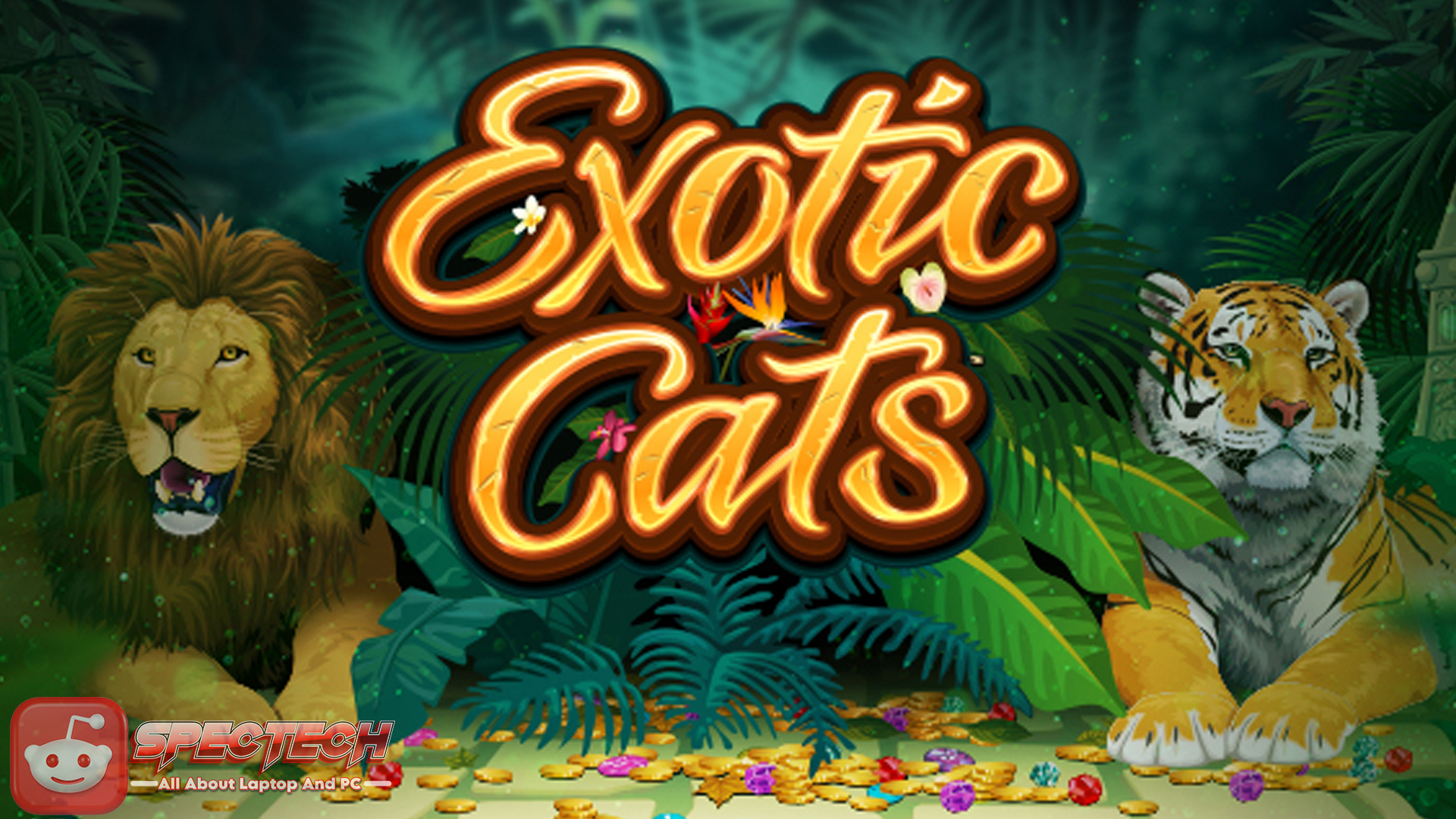 Rasakan Sensasi Baru! Mainkan Slot Exotic Cats Sekarang Juga