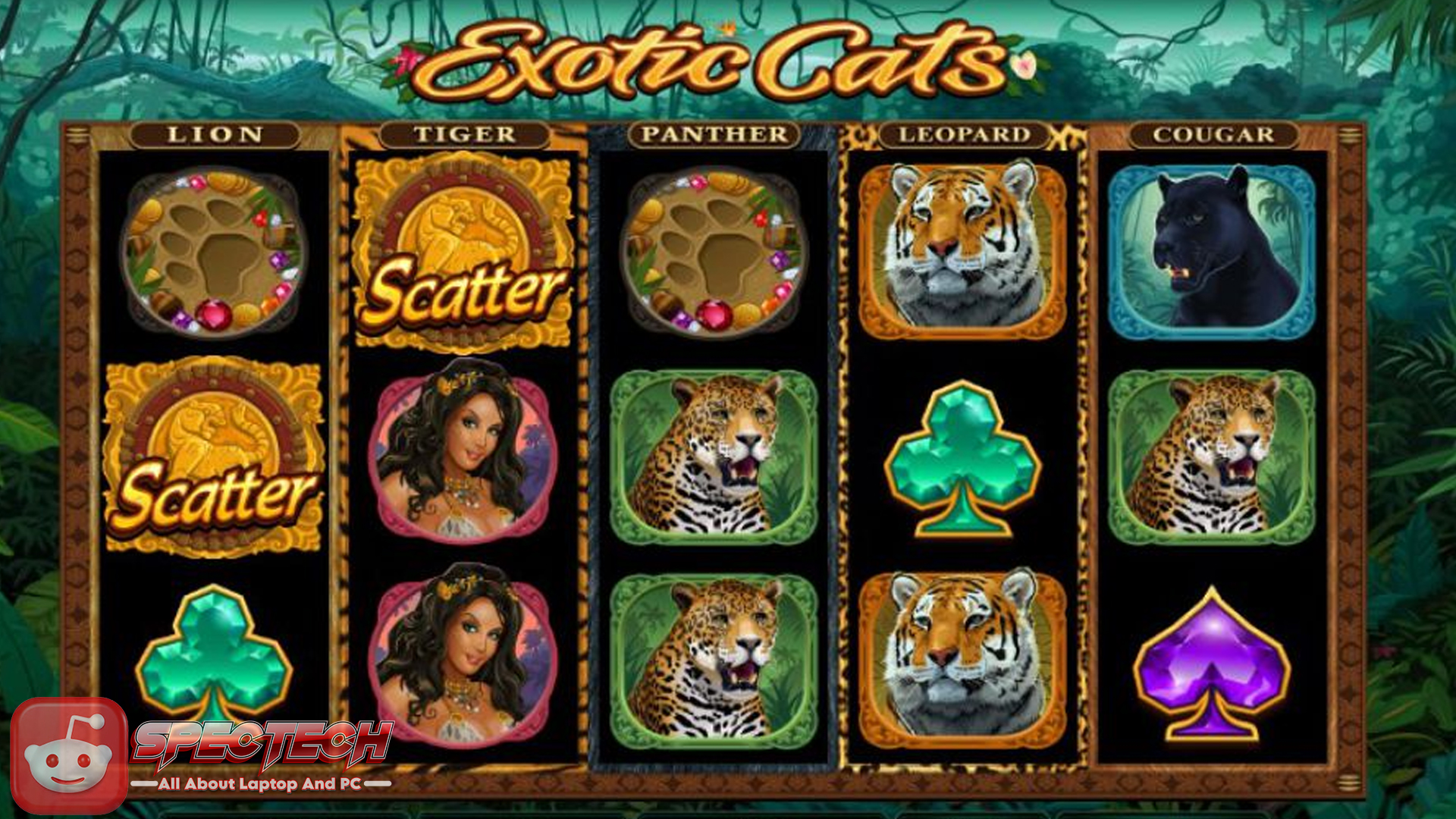 Rasakan Sensasi Baru! Mainkan Slot Exotic Cats Sekarang Juga